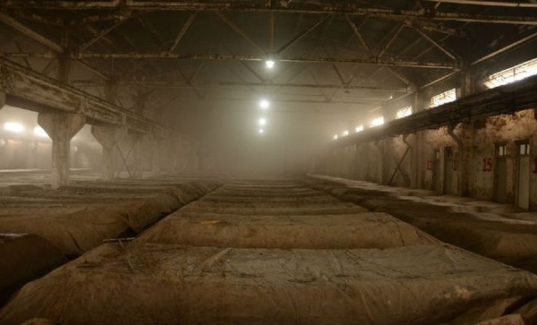 茅臺鎮(zhèn)40年窖齡揭秘：醬香白酒酒窖必達的5大微生物標準