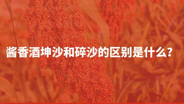 領(lǐng)匠酒文化課堂：醬香酒坤沙和碎沙的區(qū)別是什么